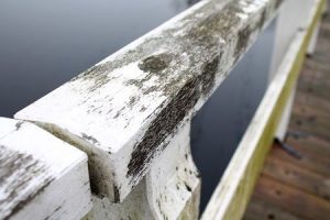 Stara powłoka lakiernicza